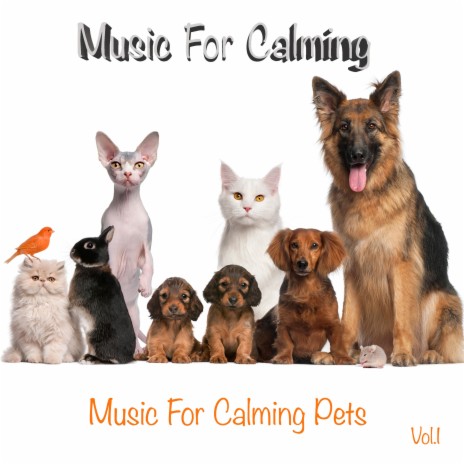 Relaxing Pets | Boomplay Music
