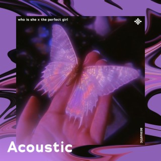 who is she x the perfect girl - acoustic
