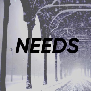 NEEDS