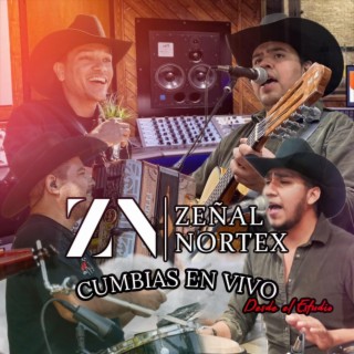 Cumbias En Vivo