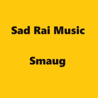 Sad Rai Music