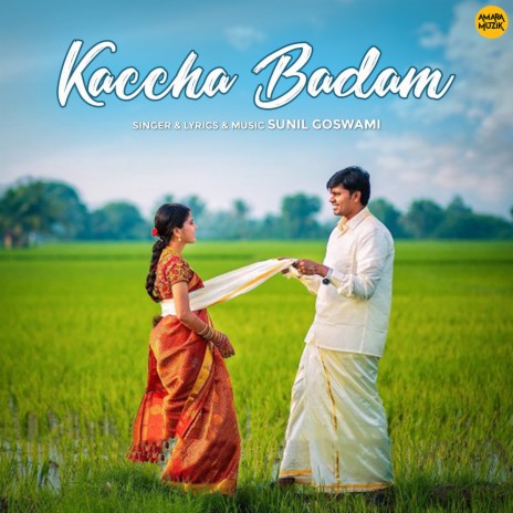 Kaccha Badam | Boomplay Music