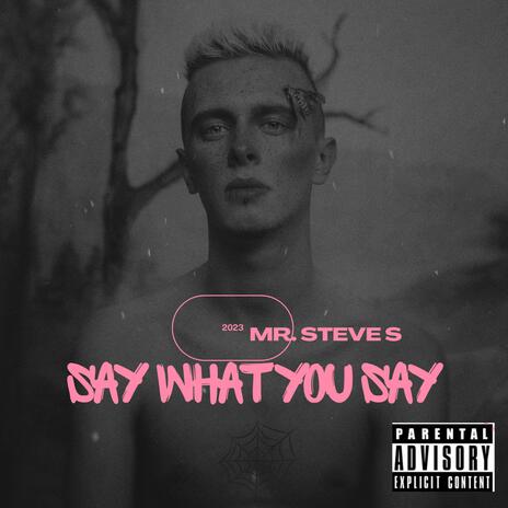 Say What You Say | Boomplay Music