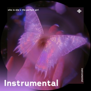 who is she x the perfect girl - Instrumental