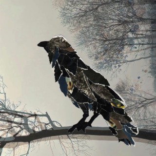 The Crow lyrics | Boomplay Music