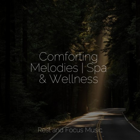 Mindful Focus | Boomplay Music