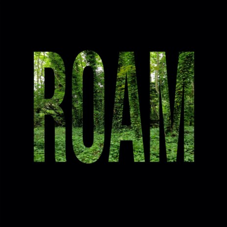 Roam | Boomplay Music