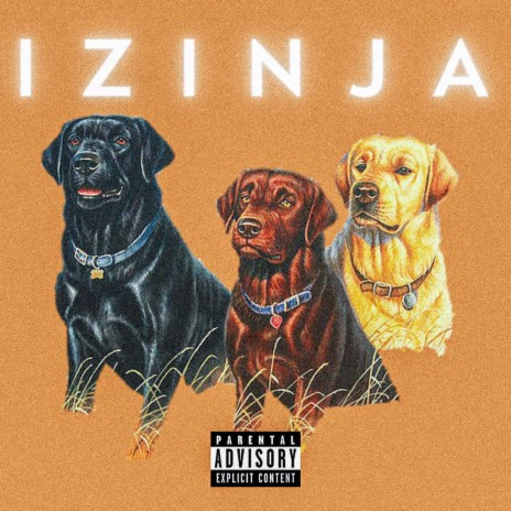 IZINJA ft. Bizzy TY, Daa Silvar, Yb Switched & Sikes | Boomplay Music