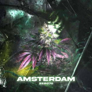 AMSTERDAM lyrics | Boomplay Music