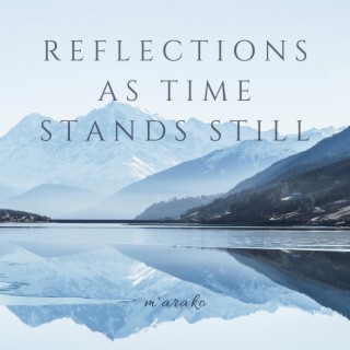 Reflections as Time Stands Still