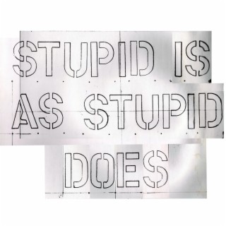 Stupid Is As Stupid Does