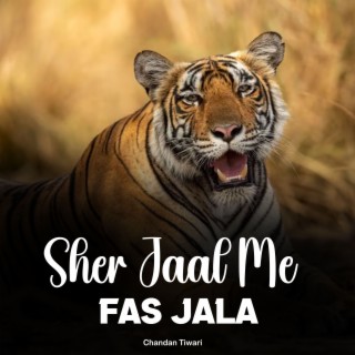 Sher Jaal Me Fas Jala