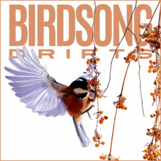 Birdsong Drifts