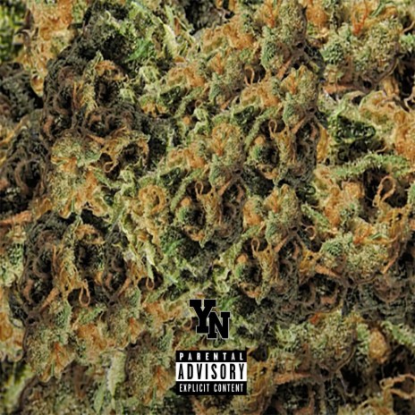 Smoking Weed ft. Dirty Tony & Nebulv | Boomplay Music