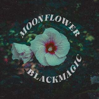 Moonflower lyrics | Boomplay Music