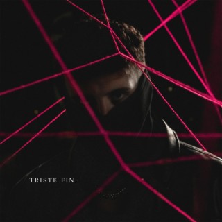 TRISTE FIN lyrics | Boomplay Music