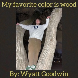 My favorite color is wood