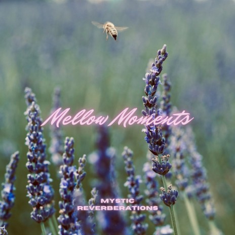 Mellow Moments (Spa) ft. Sleep Cyclone & Universal Mind