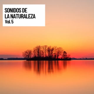 Sonidos de la naturaleza, Sonidos de la naturaleza meditacion natural