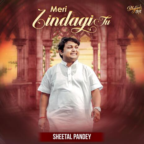 MERI JINDGI TU | Boomplay Music