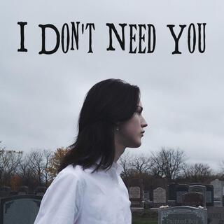 I Don't Need You lyrics | Boomplay Music