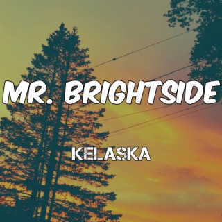 Mr. Brightside