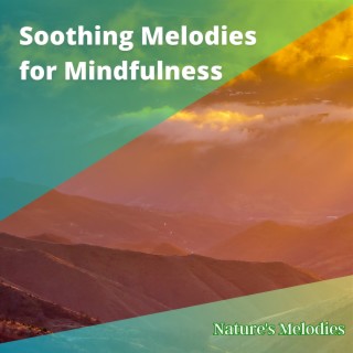 Soothing Melodies for Mindfulness, Energy Healing, and Chakra Alignment