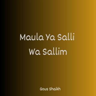 Maula Ya Salli Wa Sallim (Instrumental)