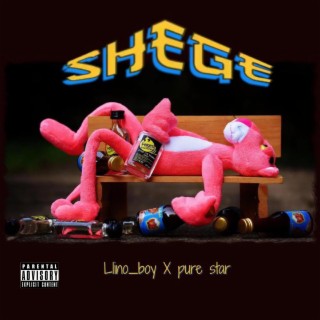Shege (feat. Pure star)