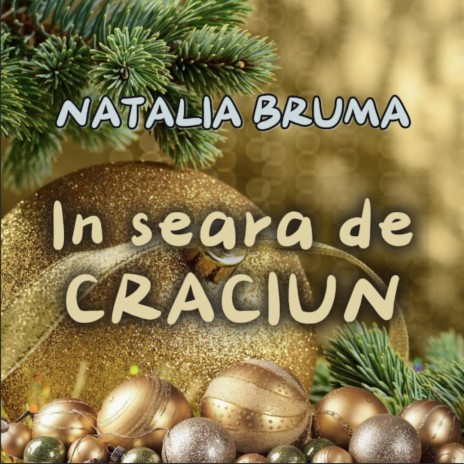 In seara de Craciun ft. Radu Zapitnii | Boomplay Music