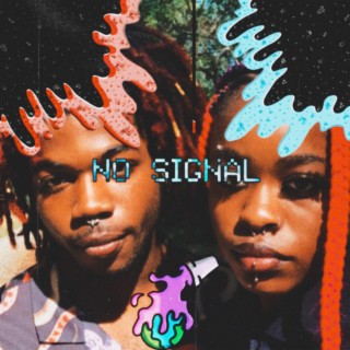 No Signal