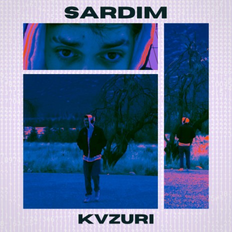 SARDIM | Boomplay Music