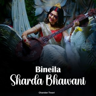 Bineila Sharda Bhawani