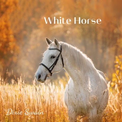White Horse | Boomplay Music
