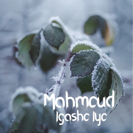 Mahmoud | Boomplay Music