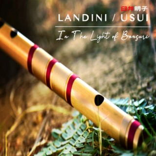 In The Light of Bansuri