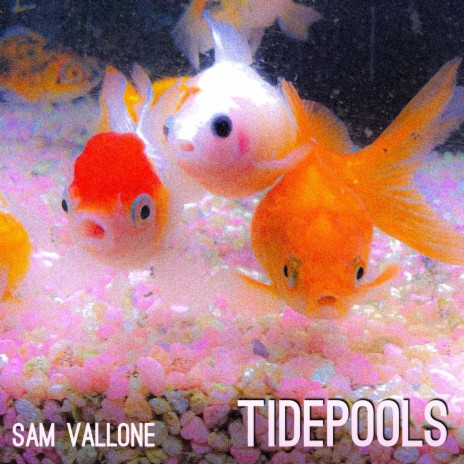 Tidepools | Boomplay Music