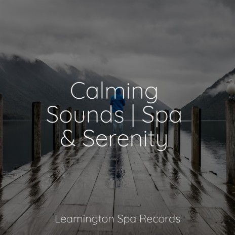 Massage Therapy | Boomplay Music