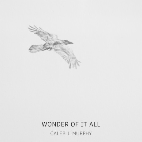 Wonder of It All | Boomplay Music