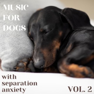 Music for Dogs with Separation Anxiety Vol. 2