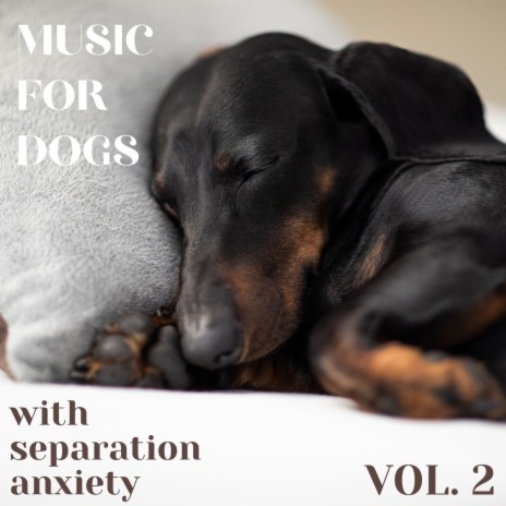 Relaxation Music for Your Dog