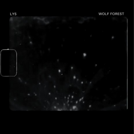 Wolf Forest | Boomplay Music