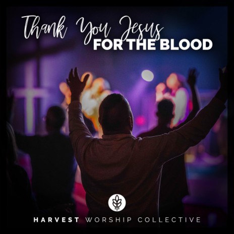 Thank You Jesus for the Blood | Boomplay Music