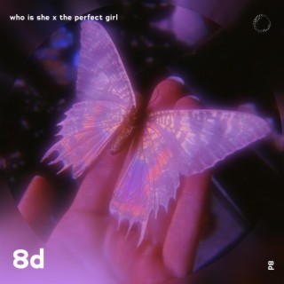 Who Is She x The Perfect Girl - 8D Audio
