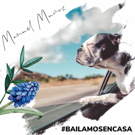 Bailamos en Casa | Boomplay Music