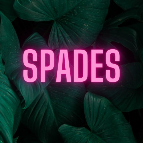 Spades (Acoustic) | Boomplay Music