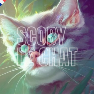 Scoby le chat