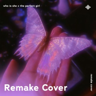 Who Is She x The Perfect Girl - Remake Cover