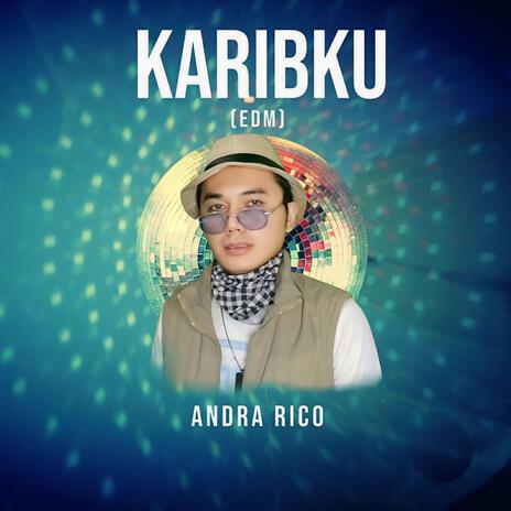 Karibku (EDM) | Boomplay Music