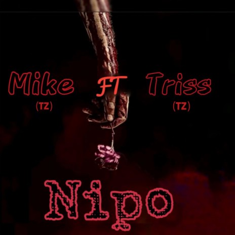 Nipo (feat. Triss (TZ)) | Boomplay Music